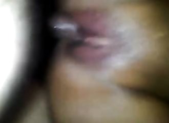 Sa queue dure pénètre cette moule humide